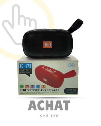 [265] PARLANTE TG 173